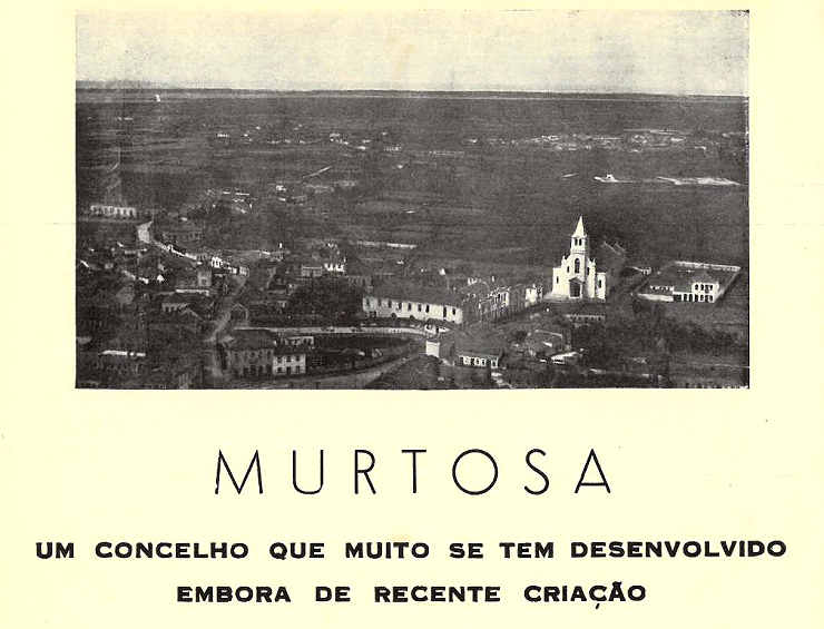 Uma vista da Murtosa