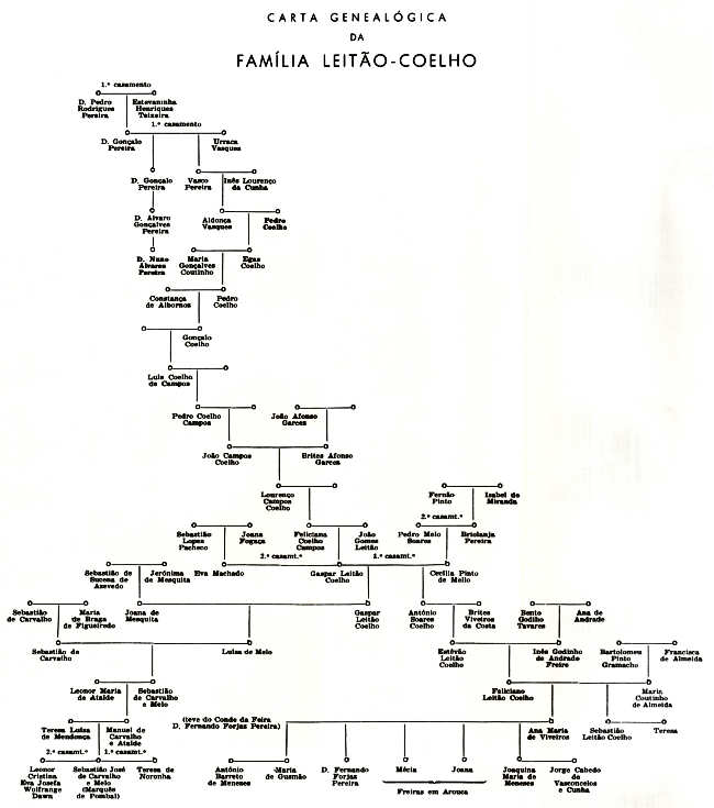 Carta genealgica da Famlia Leito-Coelho. Clicar para ampliar para uma resoluo de 1500 px.