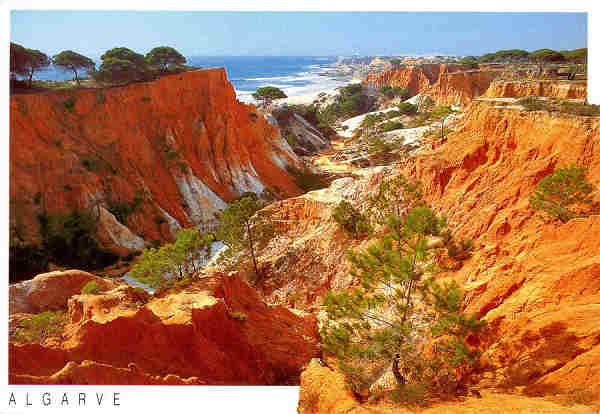 N. 082-475109 - Praia da Falsia Albufeira Algarve - Edio VISTAL - S/D - Dimenses: 15x10,3 cm. - Col. Graa Maia