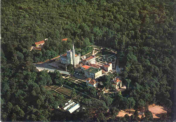 N 996 - BUSSACO. Vista parcial da floresta - Ed. A.D. C. Luso - Fotografia -SD - Dim. 14,6x9,3 cm - Col. A. Monge da Silva