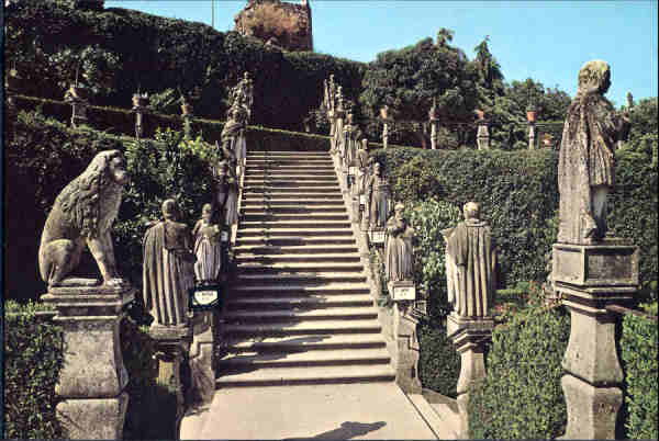 N 128 - CASTELO BRANCO. Escadaria dos Apstolos - Ed. LIFER, Porto - SD -  (circulado em 1985) - Dim. 14,8x10,3 cm. - Col. A. Monge da Silva