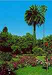 N. 14 - CURIA-Portugal Jardins do Parque - Edio da Junta de Turismo da Curia - S/D - Dimenses: 10,4x14,9 cm. - Col. HJCO (Circulado em 1986)