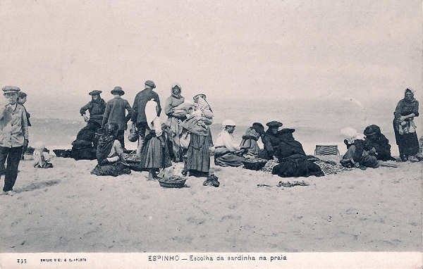 N. 135 - Portugal. Espinho. Escolha da Sardinha na Praia - Editor Emilio Biel - Dim.  14x9 cm. - Col. M. Chaby