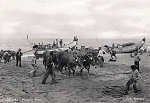 SN - Portugal. Espinho. Praia da Pesca - Editor Foto Evaristo - 1955 - Dim. 14,5x10 cm. - Col. M. Chaby