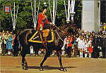 N. 63 - LONDON. Her Majesty Queen Elizabeth II - Ed. FISA-Great Britain-LONDON Golden Shield Palaudarias, 26 Barcelona - Printed in Spain - SD - Dim. 14,8x10,3 cm - Col. Manuel Bia (1986)
