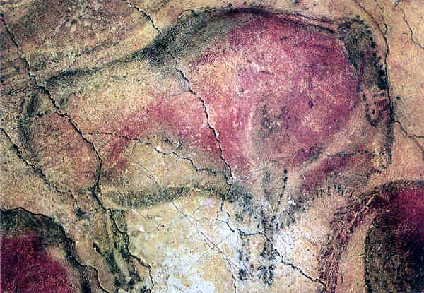 N 9 - Santilhana del Mar, Altamira, Bisonte rgido - Editor Patronato Cuevas prehistoricas de Santander - Adquirido em 1992 - Dim. - 15,1x10,6 cm - Col. Amlcar Monge da Silva