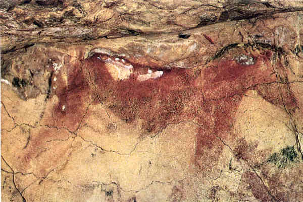 N 1153 - Cuevas de Altamira. Caballo - Foto J. Adolfo,Torrelavega - Dim. 15,1x10,6 cm - Col. Amlcar Monge da Silva