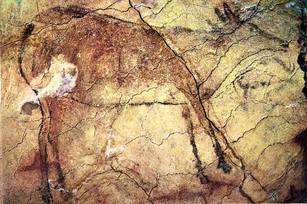 N 1154 - Cuevas de Altamira. Cierva - Foto J. Adolfo,Torrelavega - Dim. 15,1x10,6 cm - Col. Amlcar Monge da Silva