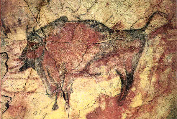 N 1159 - Cuevas de Altamira. Bsonte - Foto J. Adolfo,Torrelavega - Dim. 15,1x10,6 cm - Col. Amlcar Monge da Silva