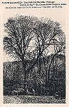 SN - Portugal. Caldas da Rainha. Fonte da Boneca - Editor Jos� da Silva Dias (1920) - Dim. 9x14 cm - Col. Miguel Chaby