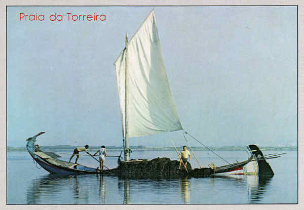 N. 1338 - TORREIRA Apanha do Molio na Ria - Ed. Centro de Caridade "Nossa Sr do Perptuo Socorro", Porto - Dim.15x10,5 cm - Col. Mrio Silva.