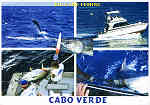 CV 01 - Ed. Billfish Club Cabo Verde - berno@mail.cvtelecom.cv  www.kapverde.com - Mobil: (00238) 91 57 48 /  - Reinhard Meyer - SD - Dim. 14,9x10,5 cm - Col. Manuel Bia (2011)