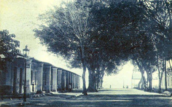 SN - Rua comercial de Dili - Edio annima -  SD - Dim. ??x?? cm - Col. Monge da Silva (Cerca de 1910)