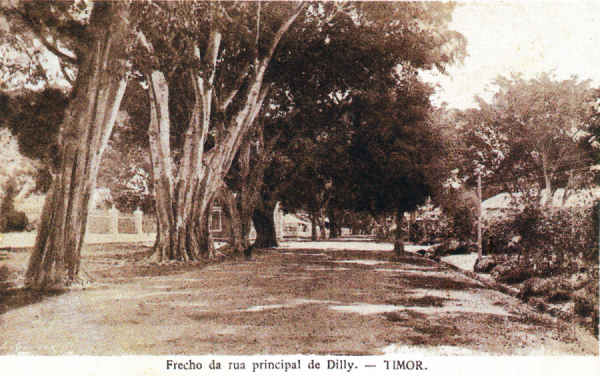 SN - Trecho da rua principal de Dilly - Timor - Edio L.Geisler -  SD - Dim. ??x?? cm - Col. Monge da Silva (Cerca de 1910)
