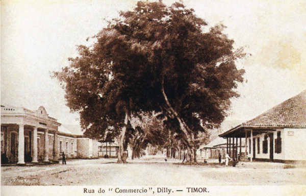 SN - Rua do "Commercio", Dilly - Timor - Edio L.Geisler -  SD - Dim. ??x?? cm - Col. Monge da Silva (Cerca de 1910)