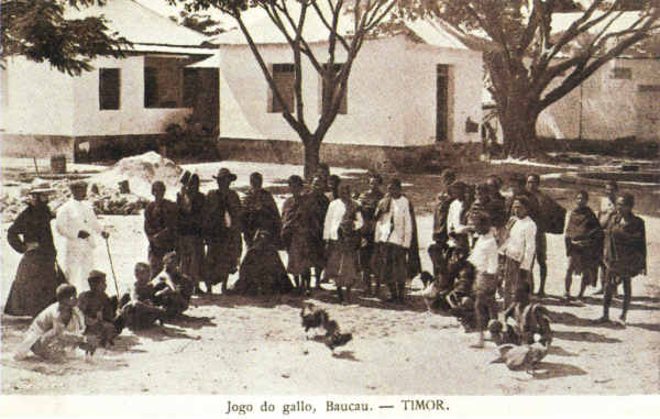 SN - Jogo do gallo, Baucau - Timor - Edio L.Geisler -  SD - Dim. ??x?? cm - Col. Monge da Silva (Cerca de 1910)