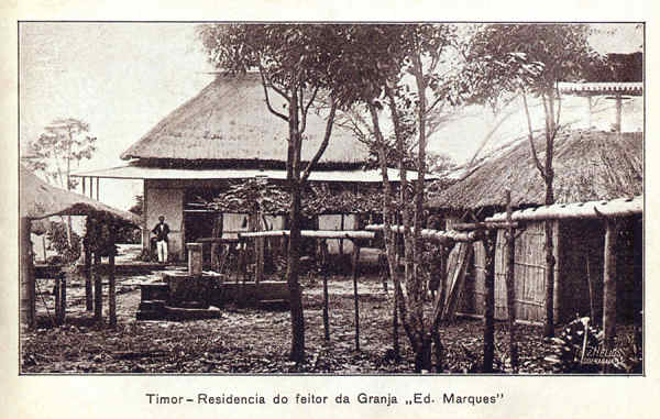 SN - Timor - Residncia do feitor da Granja "Eduardo Marques" - Edio da Circunscrio Civil de Liqui -  SD - Dim. ??x?? cm - Col. Monge da Silva (Cerca de 1925)