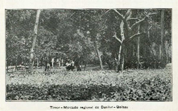 SN - Timor - Mercado regional de Banitur-Boicau - Edio da Circunscrio Civil de Liqui -  SD - Dim. ??x?? cm - Col. Monge da Silva (Cerca de 1925)