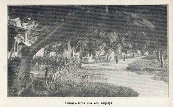 SN - Timor - Uma rua em Liqui - Edio da Circunscrio Civil de Liqui -  SD - Dim. ??x?? cm - Col. Monge da Silva (Cerca de 1925)
