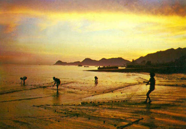 SN - Pescando na Ba�a de Dili ao p�r do sol - Edi��o do MNF-Timor - SD - Dim. ???x??? mm - Col. A. Monge da Silva (cerca de 1970)