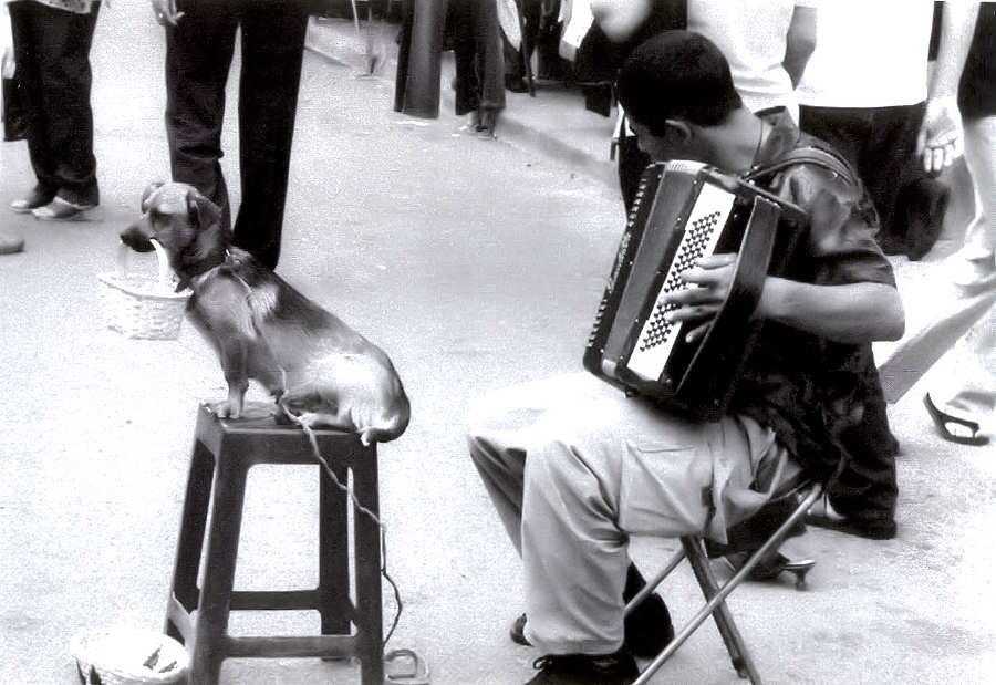 Clicar para ampliar.
