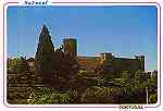 N. 10 252 - Sabugal: Castelo - Edio de Foto Ribaca, Sabugal (Dcada de 1990) - Dimenses: 15x10,5 cm. - Col. Ftima Bia.