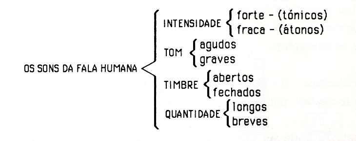 Plano de aula - 4º ano - Palavras terminadas com til: quando elas têm acento ?