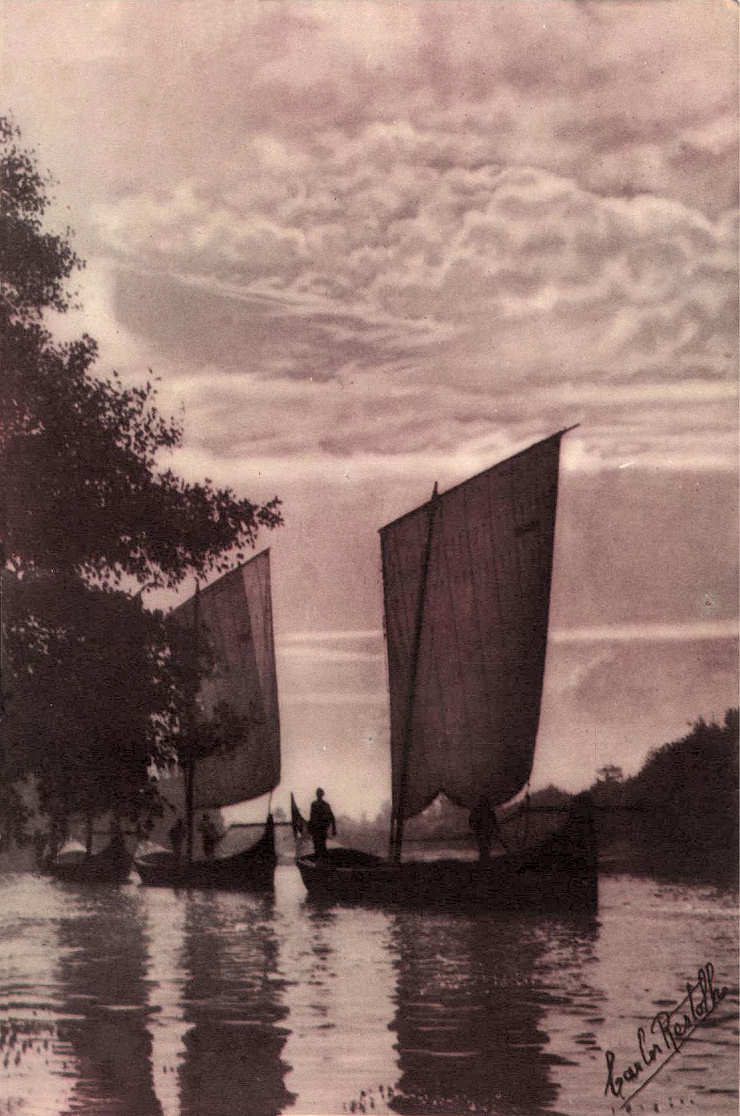 Barcos nas margens do Vouga. Foto de Carlos Restolho