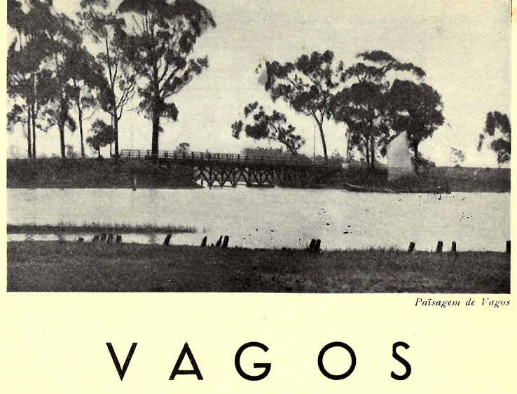 Paisagem de Vagos