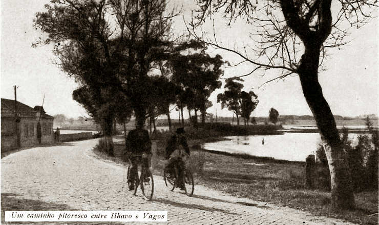 Um caminho pitoresco entre lhavo e Vagos