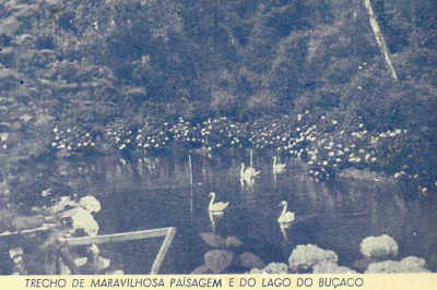 Trecho da maravilhosa paisagem e do lago do Buaco.