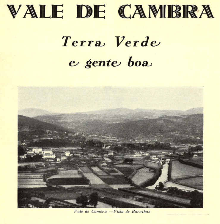 Vale de Cambra, vista de Baralhas