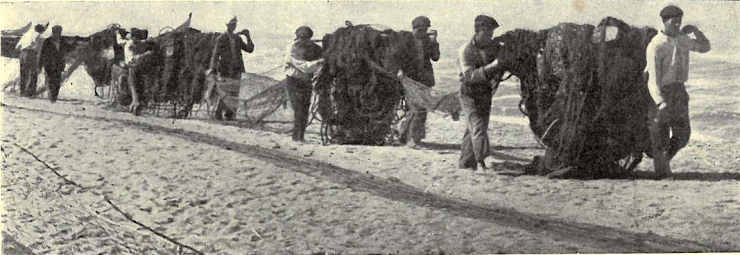 Pescadores de Furadouro e Espinho