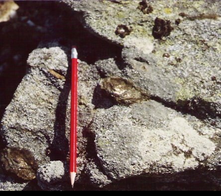 Ndulos de biotite